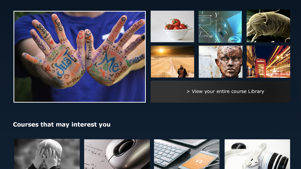 Algunos de los mejores Temas gráficos para Moodle (gratuitos)