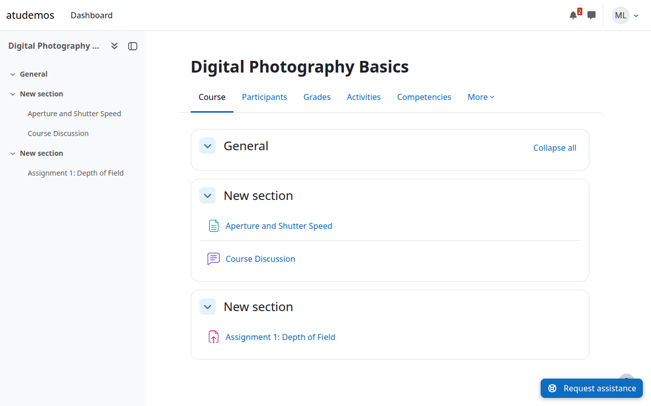 Request assistance button on the student's Moodle page