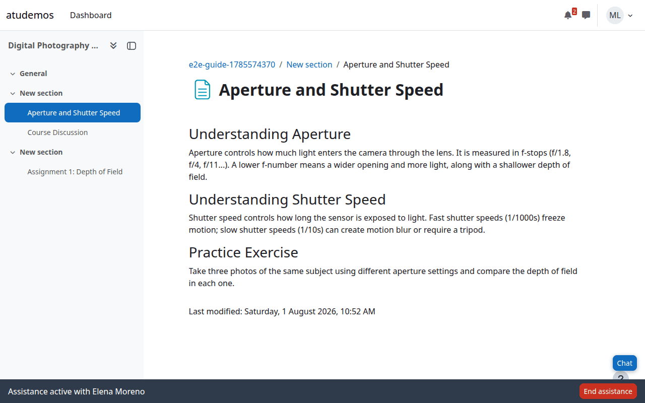 Active assistance status bar on the student's screen